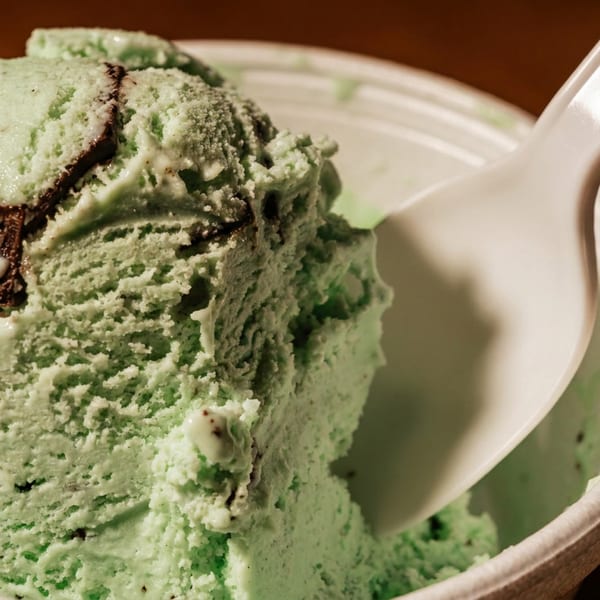 Close-up of a scoop of mint chocolate chip ice cream in a white cup with a spoon.